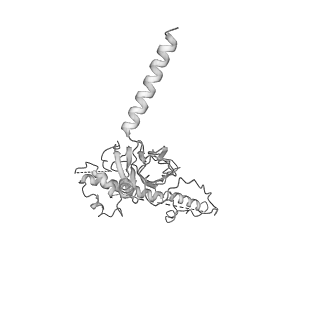 20021_6odj_K_v1-3
PolyAla Model of the PRC from the Type 4 Secretion System of H. pylori