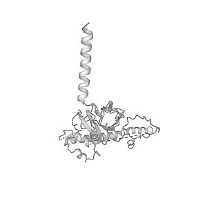 20021_6odj_L_v1-3
PolyAla Model of the PRC from the Type 4 Secretion System of H. pylori