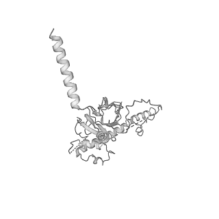 20021_6odj_M_v1-3
PolyAla Model of the PRC from the Type 4 Secretion System of H. pylori