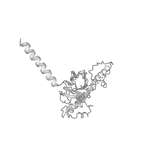 20021_6odj_N_v1-3
PolyAla Model of the PRC from the Type 4 Secretion System of H. pylori