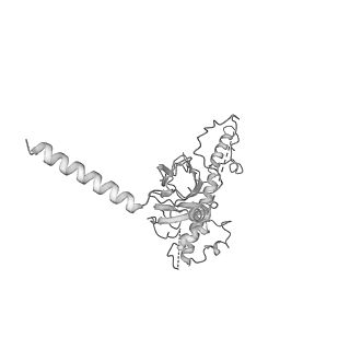 20021_6odj_O_v1-3
PolyAla Model of the PRC from the Type 4 Secretion System of H. pylori