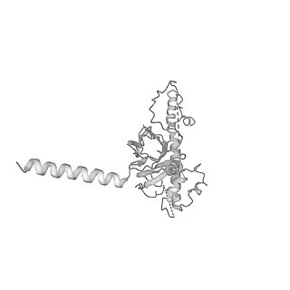 20021_6odj_P_v1-3
PolyAla Model of the PRC from the Type 4 Secretion System of H. pylori