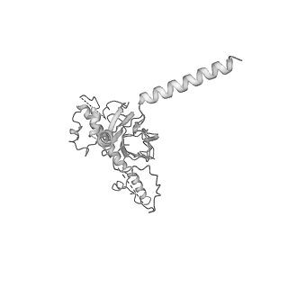 20021_6odj_Q_v1-3
PolyAla Model of the PRC from the Type 4 Secretion System of H. pylori