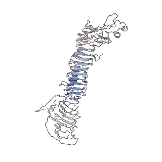 20024_6ody_A_v1-1
Cryo-EM structure of Helicobacter pylori VacA hexamer