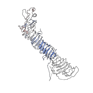 20024_6ody_B_v1-1
Cryo-EM structure of Helicobacter pylori VacA hexamer