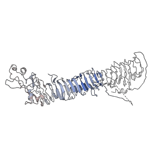 20024_6ody_C_v1-1
Cryo-EM structure of Helicobacter pylori VacA hexamer
