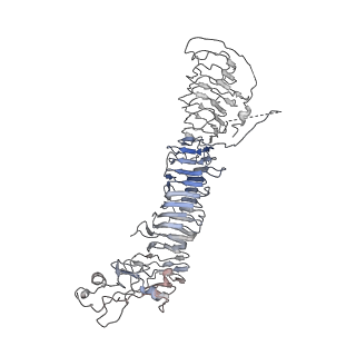 20024_6ody_D_v1-1
Cryo-EM structure of Helicobacter pylori VacA hexamer
