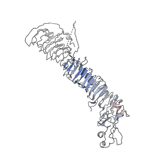 20024_6ody_E_v1-1
Cryo-EM structure of Helicobacter pylori VacA hexamer