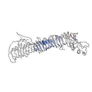 20024_6ody_F_v1-1
Cryo-EM structure of Helicobacter pylori VacA hexamer