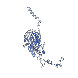 9860_6odm_5_v1-3
Herpes simplex virus type 1 (HSV-1) portal vertex-adjacent capsid/CATC, asymmetric unit