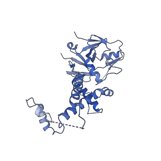 9860_6odm_6_v1-3
Herpes simplex virus type 1 (HSV-1) portal vertex-adjacent capsid/CATC, asymmetric unit
