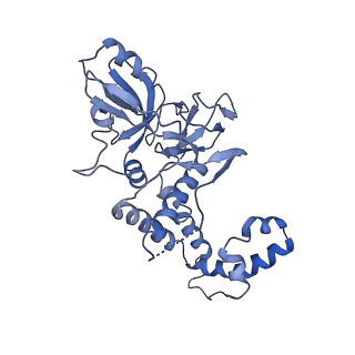 9860_6odm_7_v1-3
Herpes simplex virus type 1 (HSV-1) portal vertex-adjacent capsid/CATC, asymmetric unit