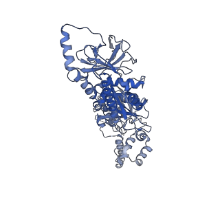 9860_6odm_C_v1-3
Herpes simplex virus type 1 (HSV-1) portal vertex-adjacent capsid/CATC, asymmetric unit
