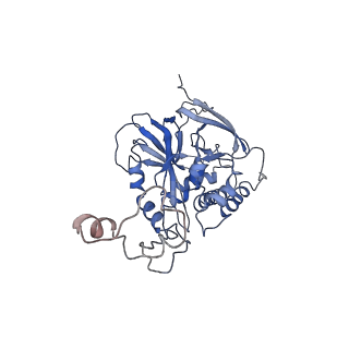 9860_6odm_D_v1-3
Herpes simplex virus type 1 (HSV-1) portal vertex-adjacent capsid/CATC, asymmetric unit