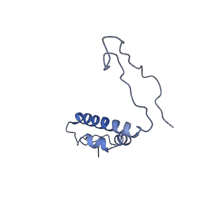 9860_6odm_F_v1-3
Herpes simplex virus type 1 (HSV-1) portal vertex-adjacent capsid/CATC, asymmetric unit