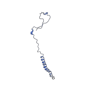 9860_6odm_G_v1-3
Herpes simplex virus type 1 (HSV-1) portal vertex-adjacent capsid/CATC, asymmetric unit