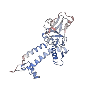 9860_6odm_H_v1-3
Herpes simplex virus type 1 (HSV-1) portal vertex-adjacent capsid/CATC, asymmetric unit