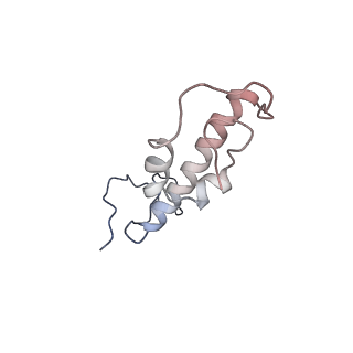 9860_6odm_L_v1-3
Herpes simplex virus type 1 (HSV-1) portal vertex-adjacent capsid/CATC, asymmetric unit