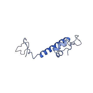 9860_6odm_P_v1-3
Herpes simplex virus type 1 (HSV-1) portal vertex-adjacent capsid/CATC, asymmetric unit