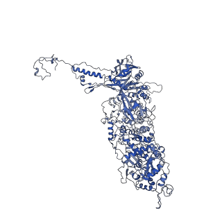 9860_6odm_S_v1-3
Herpes simplex virus type 1 (HSV-1) portal vertex-adjacent capsid/CATC, asymmetric unit