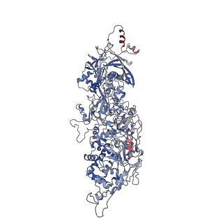 9860_6odm_W_v1-3
Herpes simplex virus type 1 (HSV-1) portal vertex-adjacent capsid/CATC, asymmetric unit
