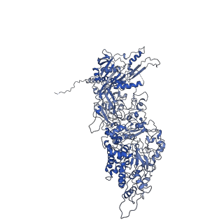 9860_6odm_X_v1-3
Herpes simplex virus type 1 (HSV-1) portal vertex-adjacent capsid/CATC, asymmetric unit