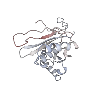 12857_7oe1_C_v1-0
30S ribosomal subunit from E. coli