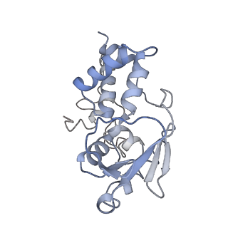 12857_7oe1_D_v1-0
30S ribosomal subunit from E. coli