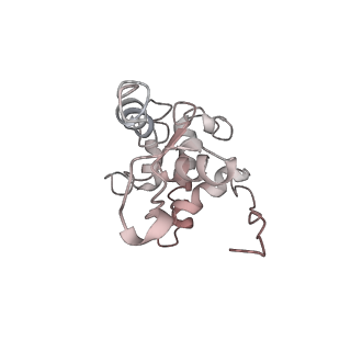 12857_7oe1_G_v1-0
30S ribosomal subunit from E. coli