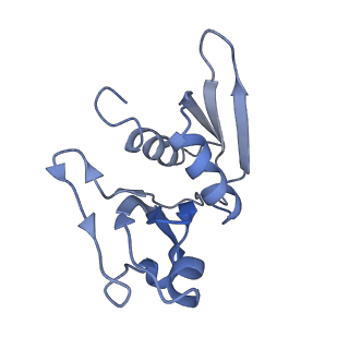 12857_7oe1_H_v1-0
30S ribosomal subunit from E. coli