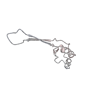 12857_7oe1_J_v1-0
30S ribosomal subunit from E. coli