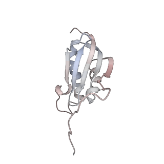 12857_7oe1_K_v1-0
30S ribosomal subunit from E. coli