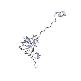 12857_7oe1_L_v1-0
30S ribosomal subunit from E. coli