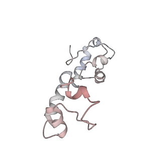 12857_7oe1_M_v1-0
30S ribosomal subunit from E. coli