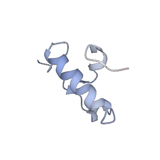 12857_7oe1_R_v1-0
30S ribosomal subunit from E. coli