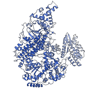 12860_7oe3_L_v1-1
Apo-structure of Lassa virus L protein (well-resolved endonuclease) [APO-ENDO]