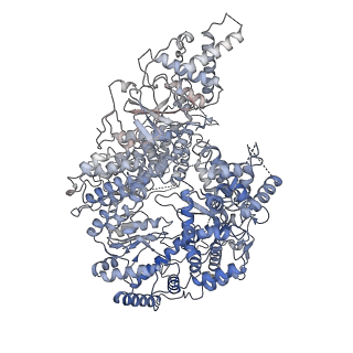 12861_7oe7_L_v1-1
Apo-structure of Lassa virus L protein (well-resolved alpha ribbon) [APO-RIBBON]