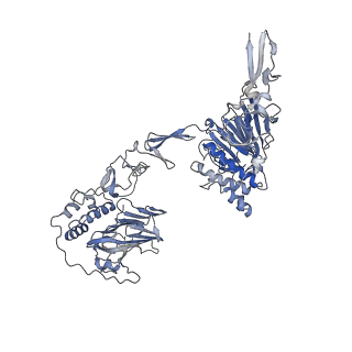 16808_8oer_A_v1-0
MUC5B amino acids 26-1435