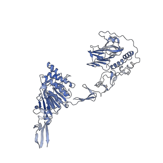 16808_8oer_B_v1-0
MUC5B amino acids 26-1435