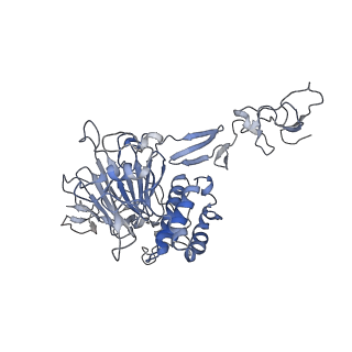 16808_8oer_C_v1-0
MUC5B amino acids 26-1435