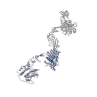 16808_8oes_A_v1-0
MUC5B amino acids 26-1435 Three beads