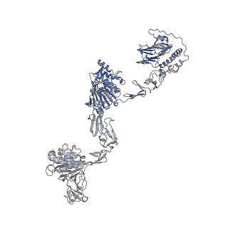 16808_8oes_B_v1-0
MUC5B amino acids 26-1435 Three beads