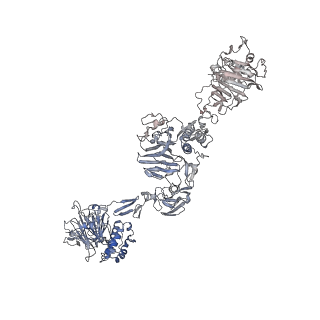 16808_8oes_C_v1-0
MUC5B amino acids 26-1435 Three beads