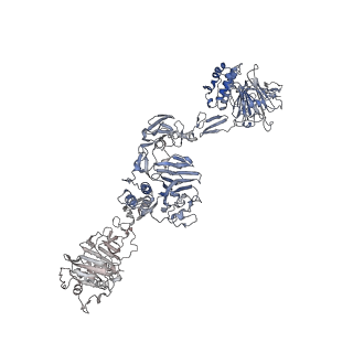 16808_8oes_D_v1-0
MUC5B amino acids 26-1435 Three beads