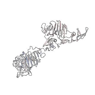 16808_8oes_E_v1-0
MUC5B amino acids 26-1435 Three beads