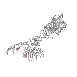 16808_8oes_F_v1-0
MUC5B amino acids 26-1435 Three beads