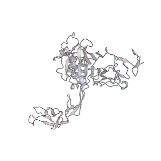 16808_8oes_H_v1-0
MUC5B amino acids 26-1435 Three beads