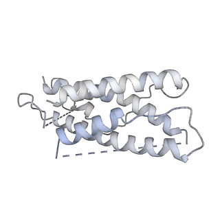 16821_8oe0_A_v1-0
Cryo-EM structure of a pre-dimerized murine IL-12 complete extracellular signaling complex (Class 2).