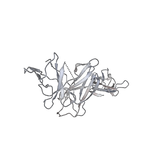 16821_8oe0_B_v1-0
Cryo-EM structure of a pre-dimerized murine IL-12 complete extracellular signaling complex (Class 2).