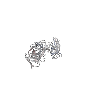 16821_8oe0_C_v1-0
Cryo-EM structure of a pre-dimerized murine IL-12 complete extracellular signaling complex (Class 2).